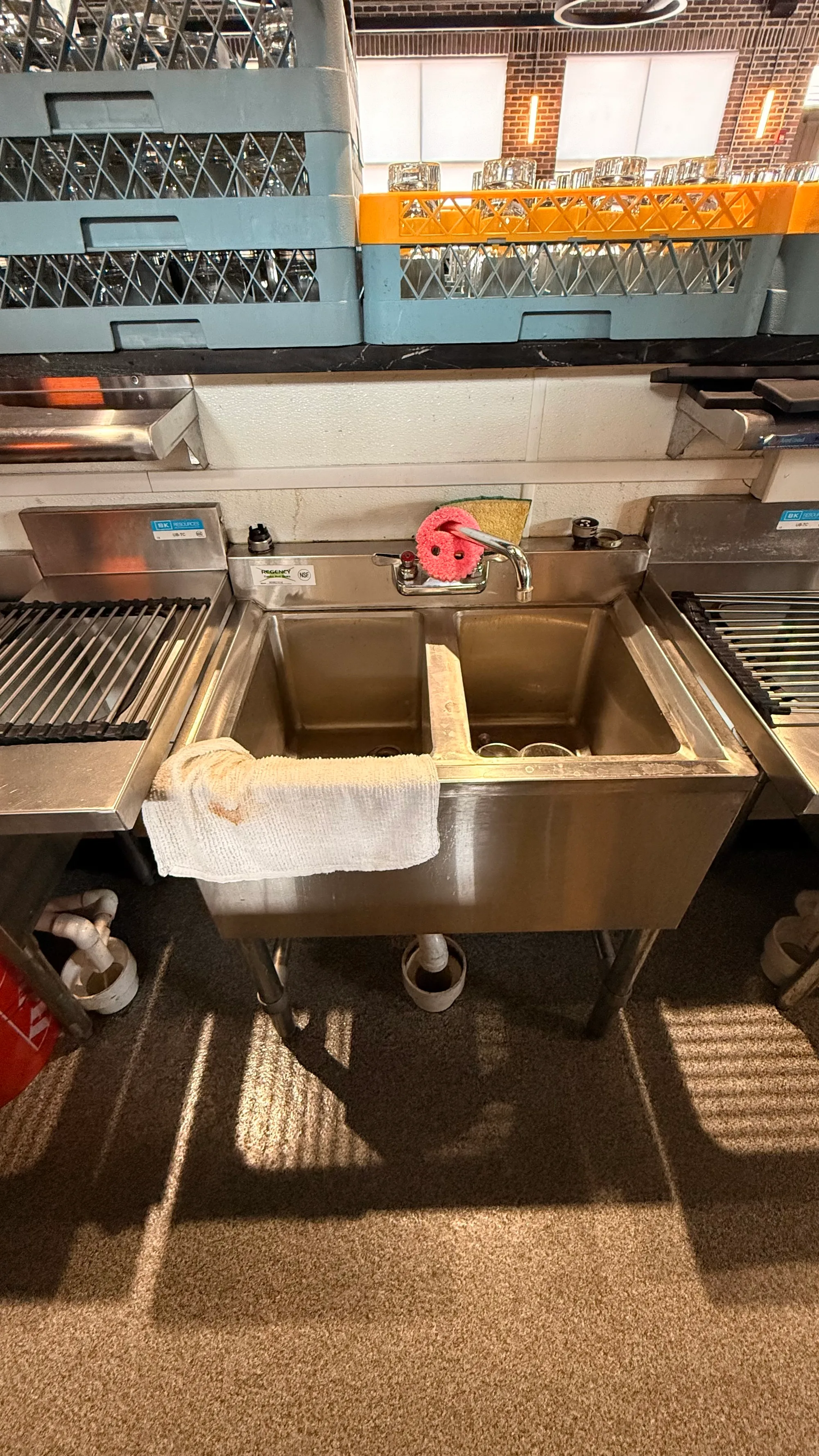 Double stainless steel sink (Regency NSF)